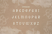 Antonika Font, a Handwritten Font by V Design Creator (Thumbnail 2 of 9)