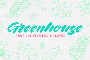 Greenhouse Tropical Flowers & Leaves