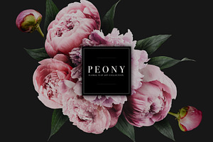 Peony Floral Clip Art