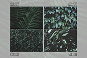 Green textures - photo bundle, a Nature Photo by rorygez fresh (Thumbnail 2 of 6)