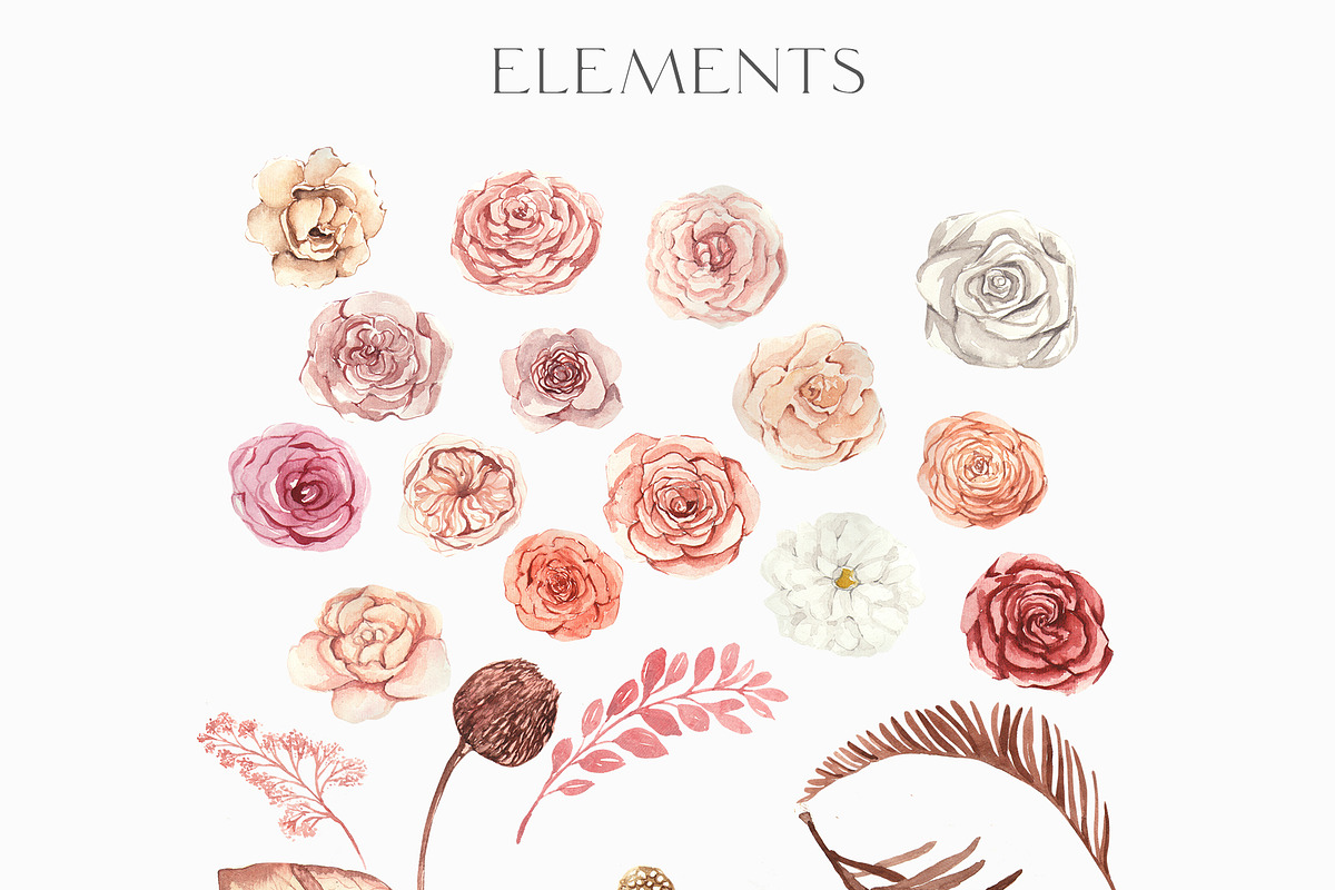 Dried flowers boho, a Decorative Illustration by Julia Bogdan (Photo 8 of 10)