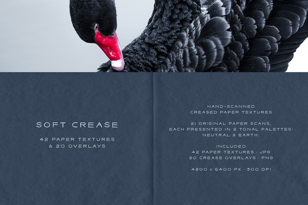 Crease - Paper Textures & Overlays, a Texture Graphic by alonahaidash (Photo 11 of 15)