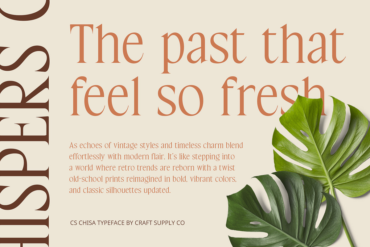 CS Chisa – Elegant Font, a Serif Font by Craft Supply Co. (Photo 4 of 8)