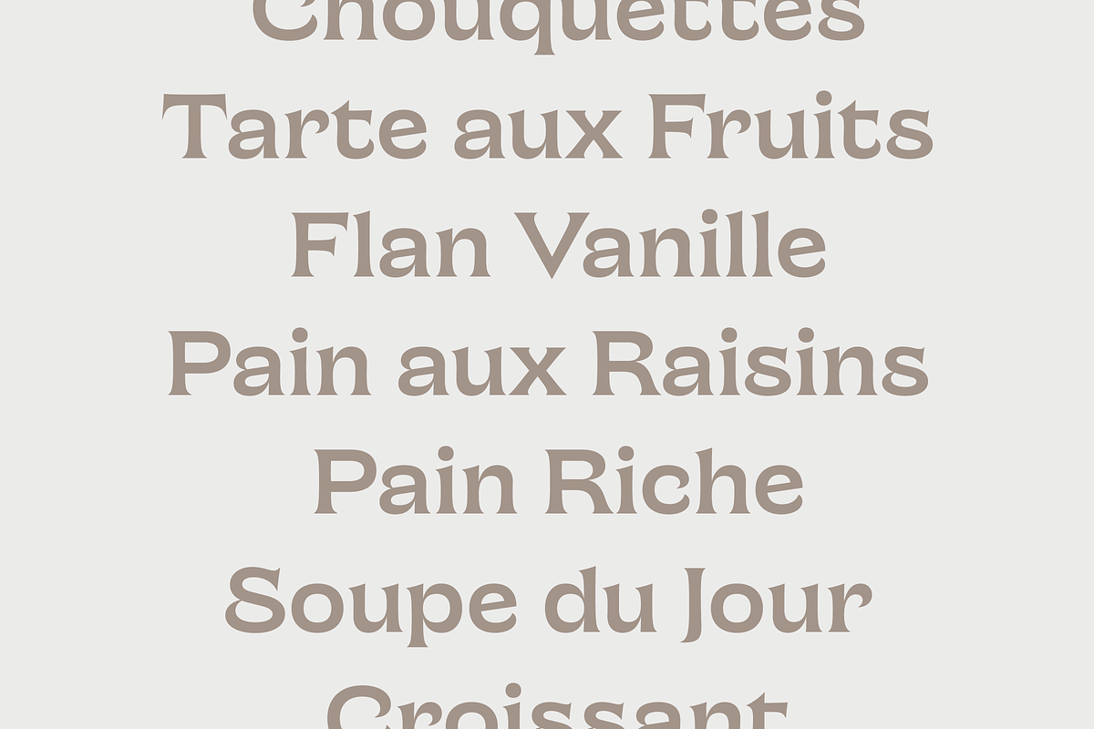 Chronique, a Serif Font by Haus Type (Photo 6 of 7)
