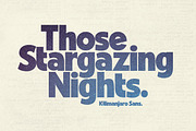 Kilimanjaro Sans (36 fonts), a Font by Nicky Laatz (Thumbnail 17 of 75)