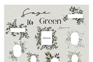 Sage Green. Watercolor Graphic