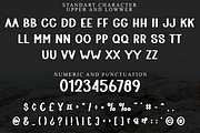 Sunday Walks, a Script Font by FreshTypeINK (Thumbnail 6 of 8)