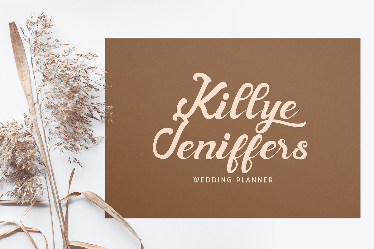 Andy Tusvah - Bold Script Font, a Script Font by StringLabs (Photo 3 of 14)