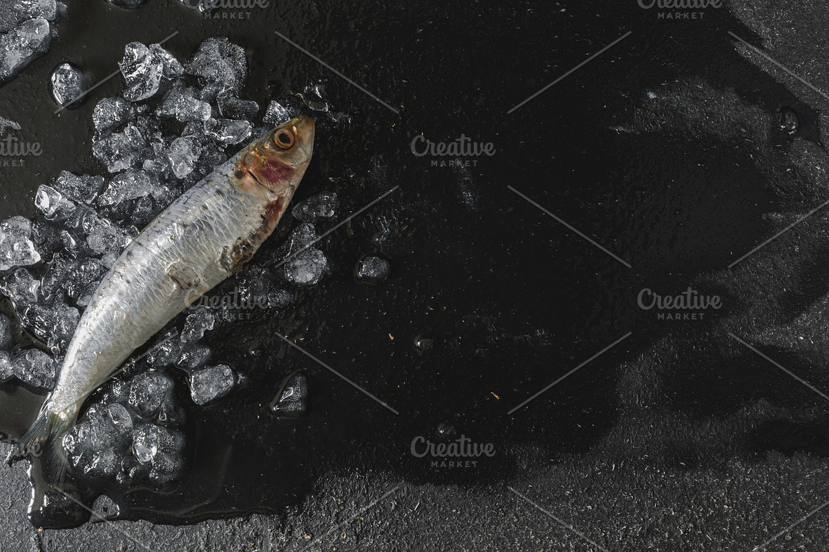 Feeling Catch, a Templates & Theme by Feelings (Photo 4 of 7)