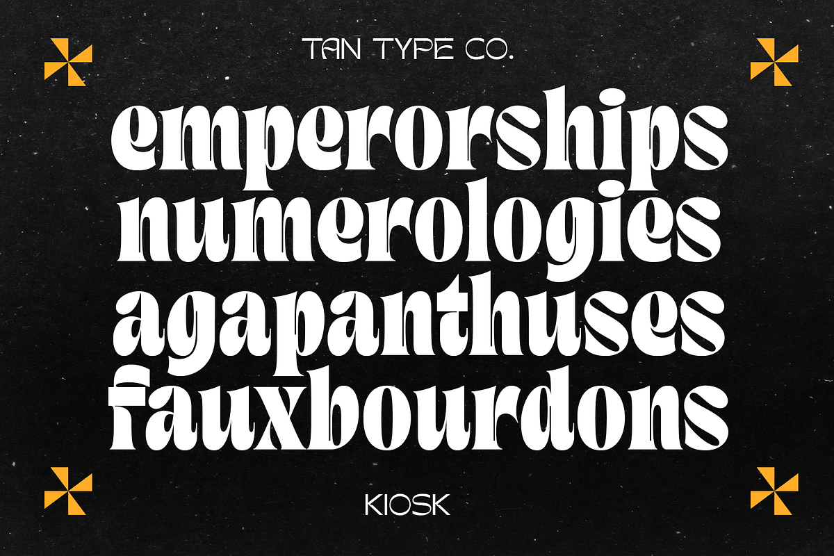 TAN - KIOSK, a Serif Font by TanType (Photo 2 of 16)