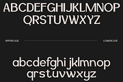 Hertloom Typeface, a Sans Serif Font by CuratedType Studio (Thumbnail 4 of 10)