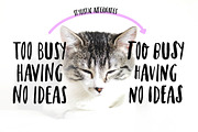Cat In My Head, a Font by funderful (Thumbnail 8 of 10)