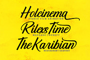 The Rinden, a Script Font by Megatype (Thumbnail 8 of 11)