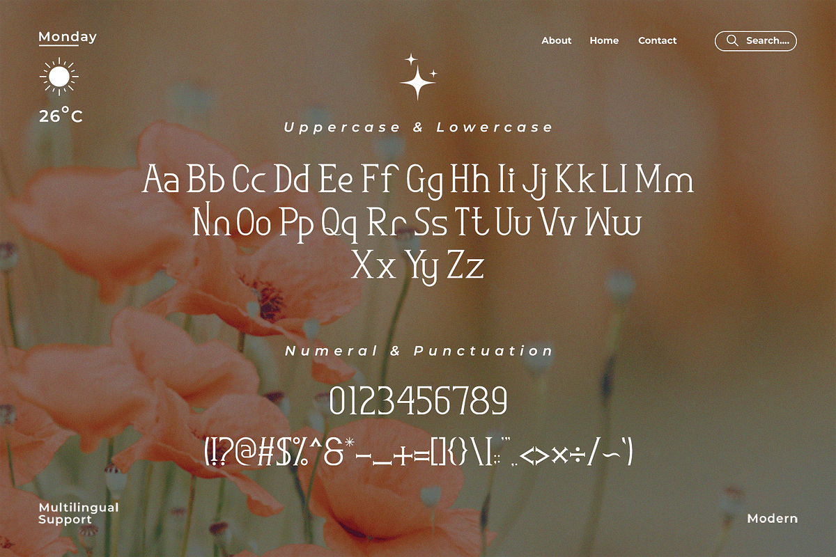 Rosemary - A Classy Serif Font, a Serif Font by overlaytemplates (Photo 4 of 5)