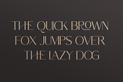 Northern Worssley - Ligature Sans, a Sans Serif Font by Typetemp Studio (Thumbnail 5 of 17)