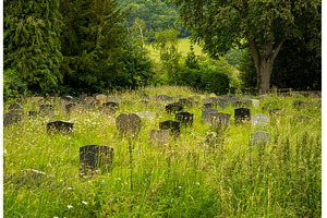 An old and serene graveyard in the, a Nature Photo by Backyard Stock