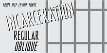 Incarceration JNL