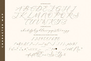 Waltney Flores A Beauty Calligraphy, a Script Font by Storytype Studio (Thumbnail 13 of 15)