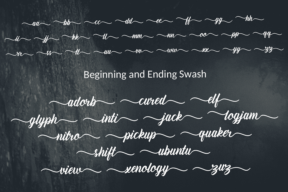 Amiable Forsythia Font, a Script Font by Letterhanna Studio (Photo 15 of 19)