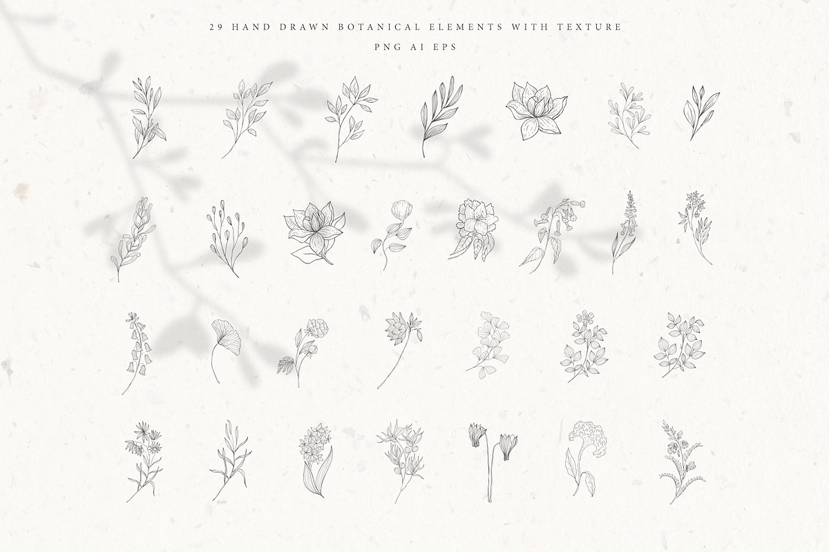 Botanical Alphabet & Monograms., a Decorative Illustration by Designwork (Photo 7 of 18)