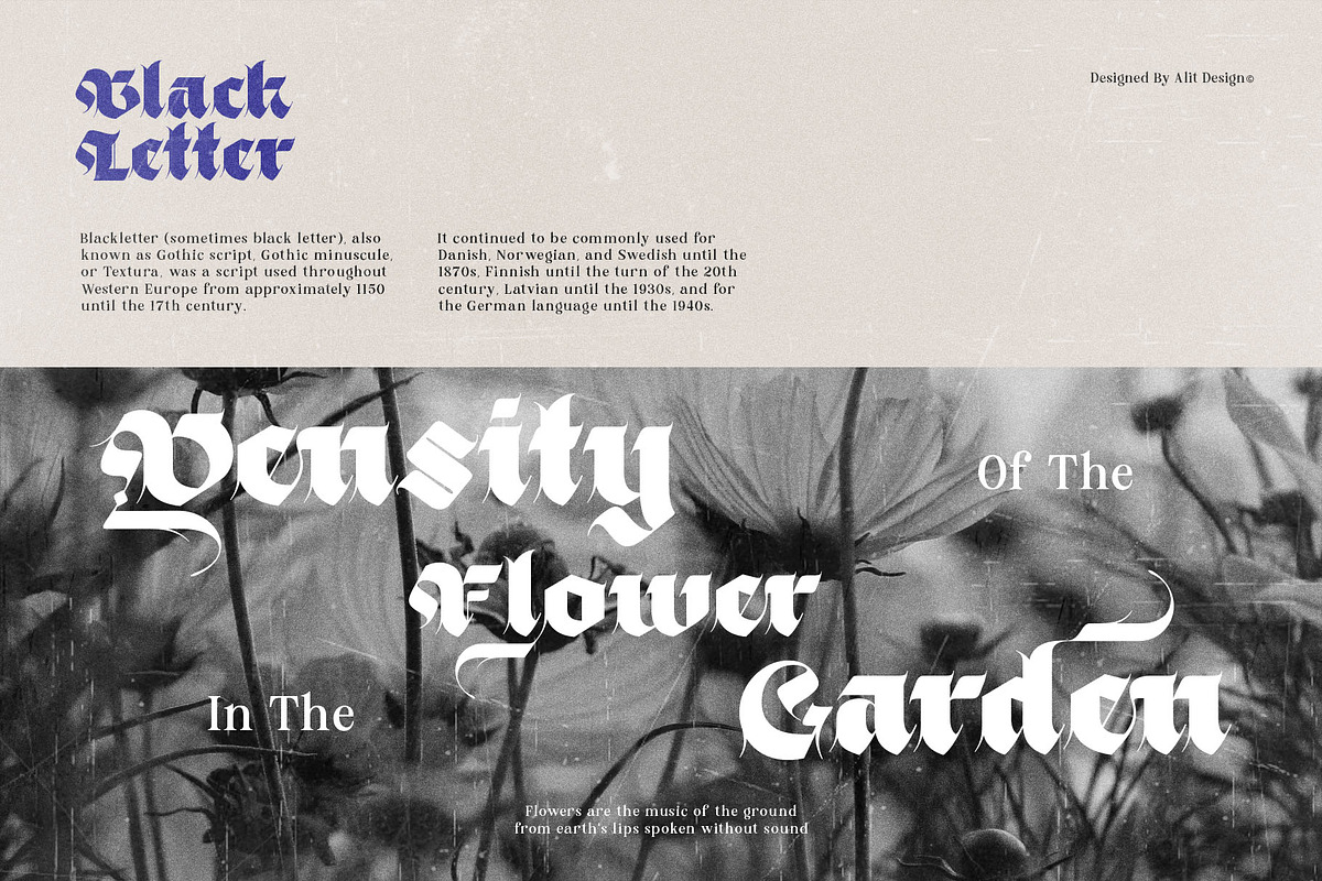 Black Obesity Blackletter Font, a Blackletter Font by alit design (Photo 2 of 17)
