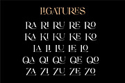 Darrell Rolando - Display Font, a Serif Font by Grezline Studio (Thumbnail 11 of 13)