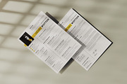 Professional Resume C/V Template, a Resume Template by Cleffon_Graphic_Studio (Thumbnail 2 of 4)
