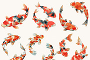 Watercolor Koi Fish Clipart, an Animal Illustration by Design Scotch (Thumbnail 3 of 9)