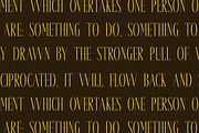Galderon A Display Serif Font, a Serif Font by Storytype Studio (Thumbnail 9 of 15)