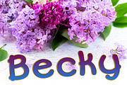 Becky Font Family, a Sans Serif Font by The Thrill of Design (Thumbnail 1 of 12)