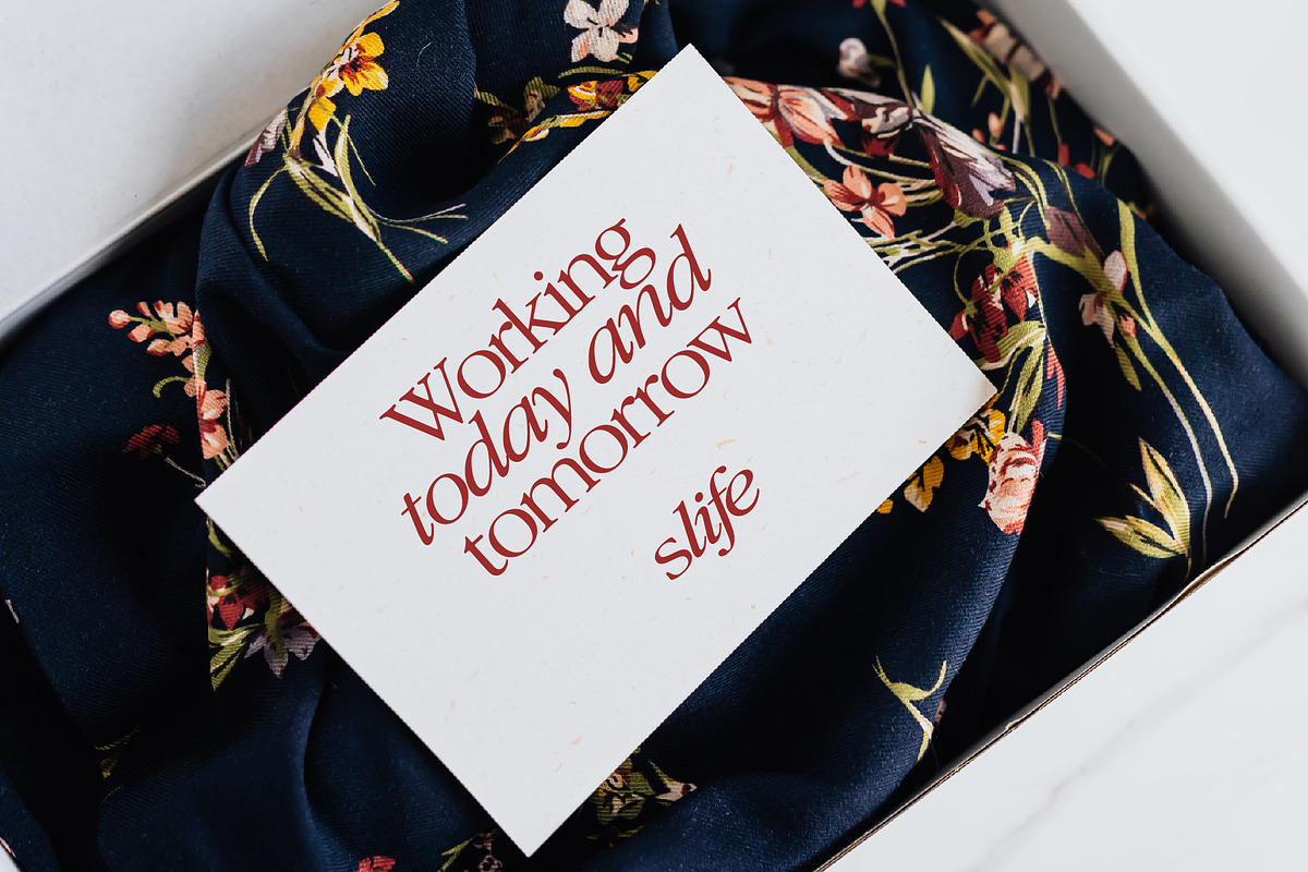 Dream Serif Display, a Serif Font by Types&Toast (Photo 4 of 10)