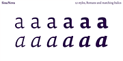Sina Nova, a Serif Font by Hoftype (Thumbnail 7 of 15)