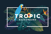 Tropical backgrounds, a Texture Illustration by Creative Graphics (Thumbnail 3 of 11)