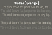 Blackjack Family, a Serif Font by danti (Thumbnail 3 of 6)
