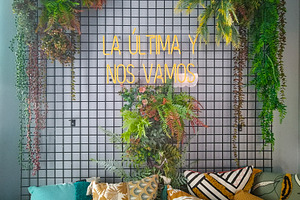 Neon phrase and plants over urban garden, a Photo by DanFLCreativo