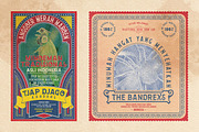 Aspernatur Vintage Family, a Serif Font by wubstudio (Thumbnail 4 of 13)