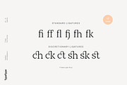 TT Bells, a Serif Font by TypeType (Thumbnail 9 of 11)