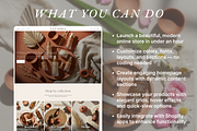 Velmira - Skincare Shopify 2.0 Theme, a Shopify Template by AtelierDuVow (Thumbnail 9 of 10)