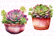 Succulents Watercolour Clipart, a Decorative Illustration by LekoArt (Thumbnail 4 of 10)