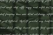 Attallia Signature Business Font, a Script Font by KennedyStudio (Thumbnail 4 of 11)