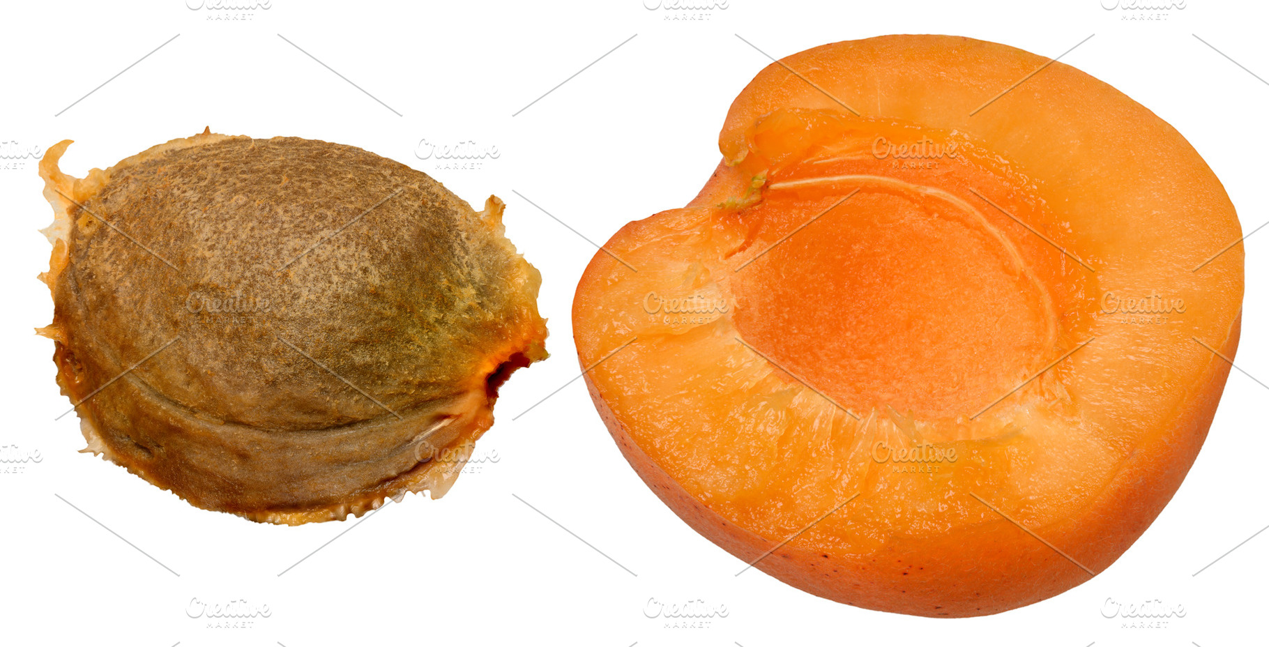Half of a ripe apricot and a pit on an isolated background, a Food & Drink Photo by ndanko