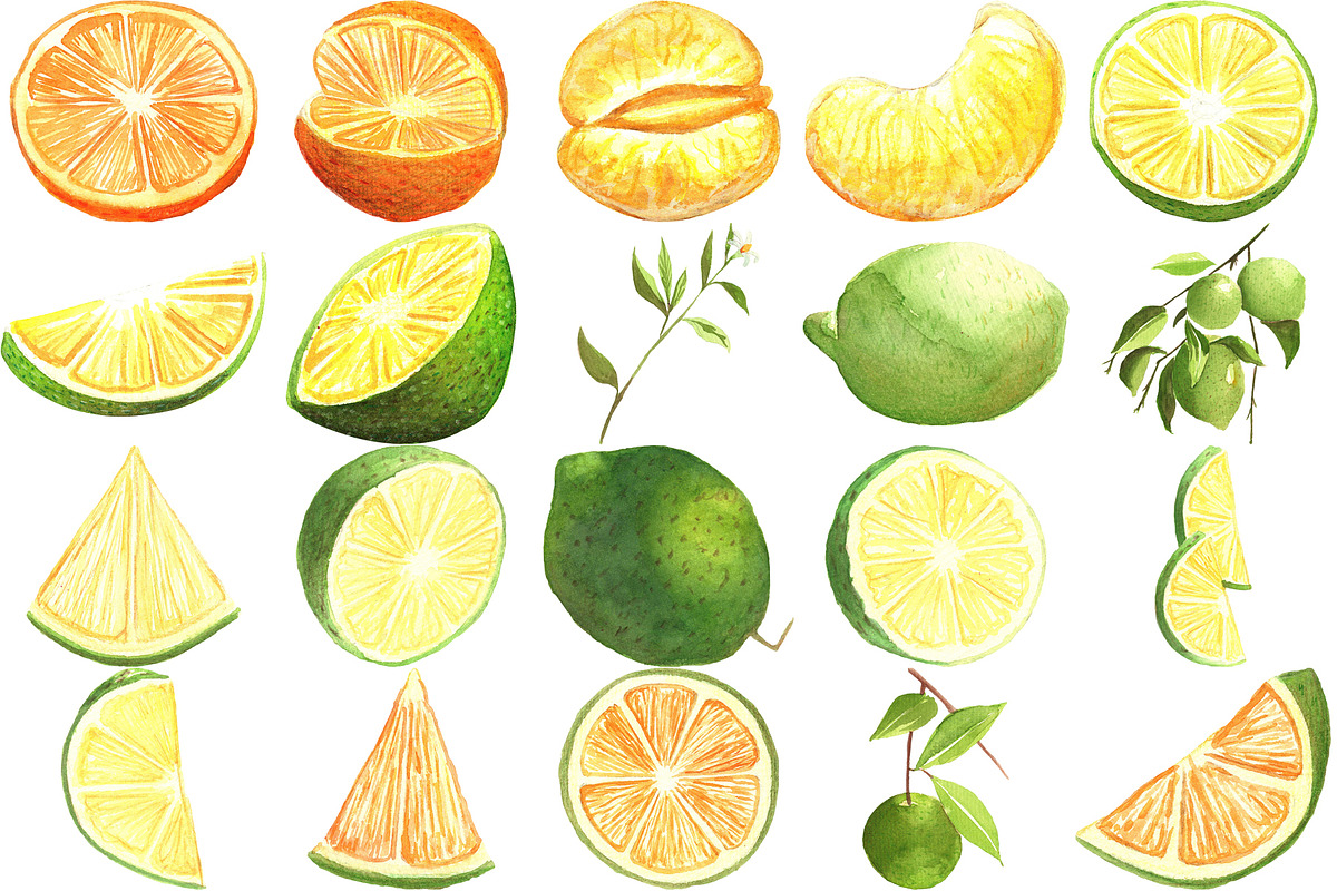 Lemon Lime Orange Watercolor Bundle, a Food Illustration by LilyBoo Clipart (Photo 3 of 6)