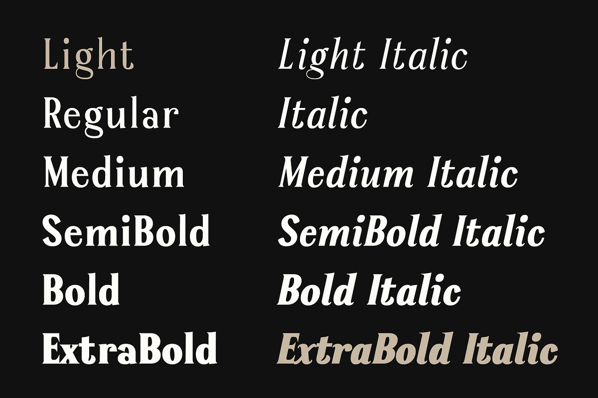 Serelia Serif Family | Intro 60% OFF, a Serif Font by Lettertype Studio (Photo 8 of 17)