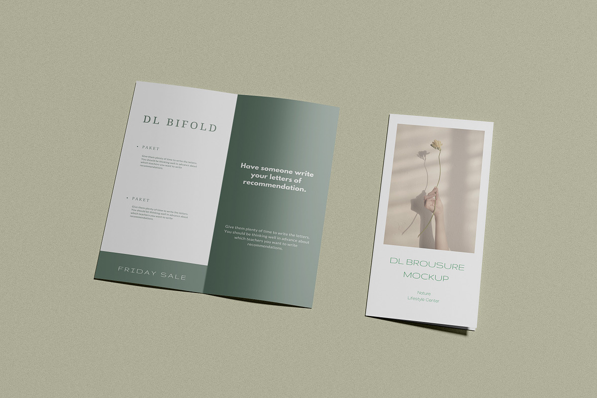 Bifold DL Flyer Mockup, a Print Template by Akaimockup (Photo 4 of 8)