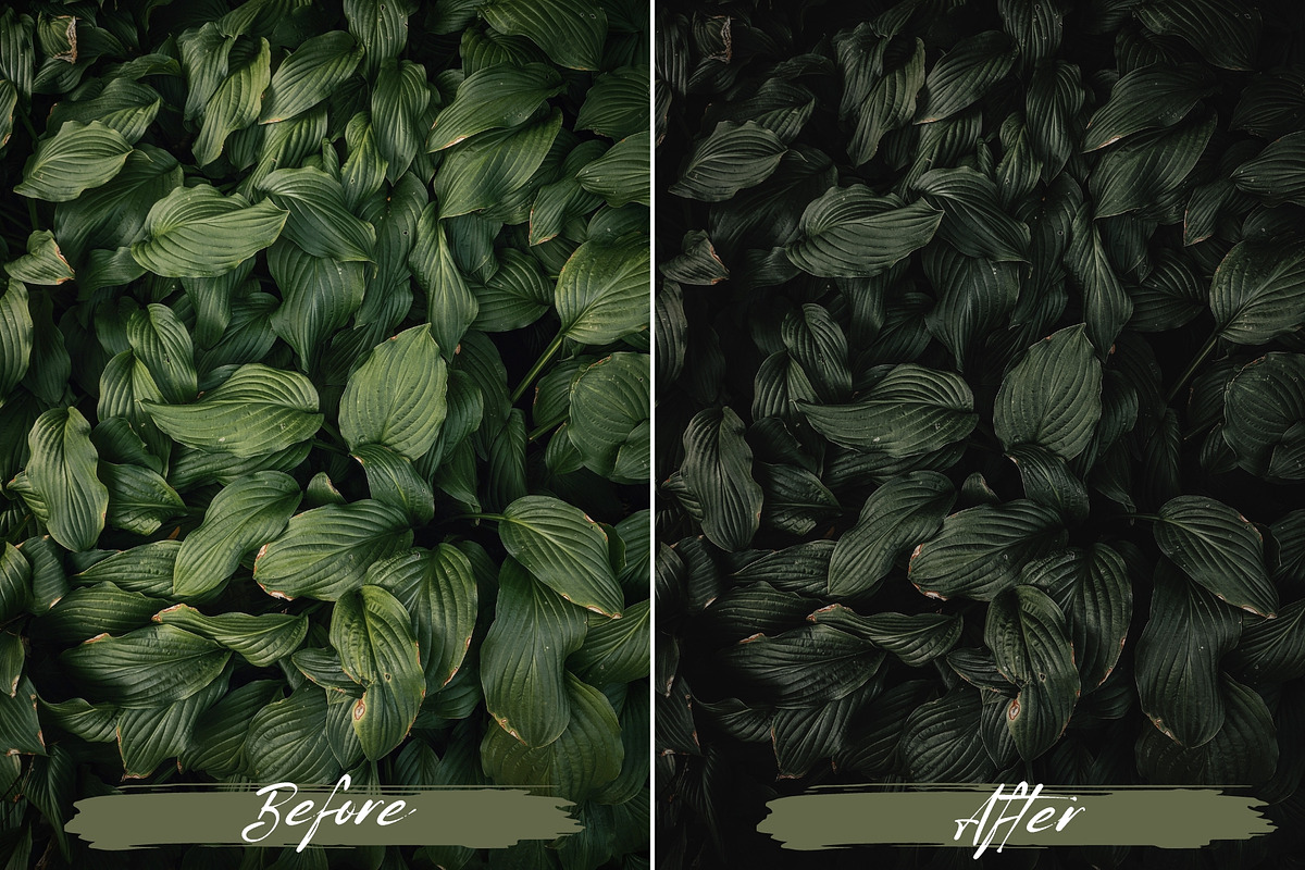 10 Soft Green Lightroom Presets, a Preset Add-On by MEPRESETS (Photo 9 of 9)