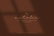 Ballantik Modern Monoline Script, a Script Font by Creatype Studio (Thumbnail 3 of 9)