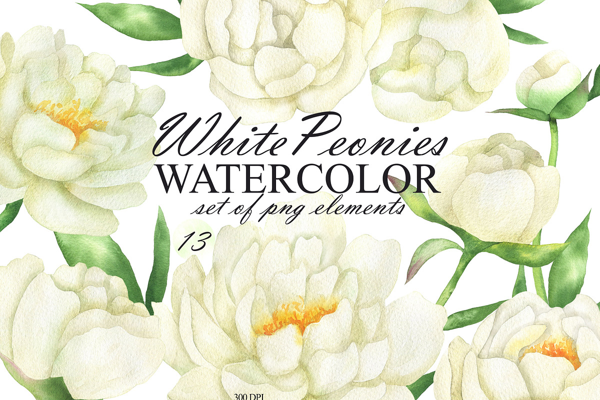White peonies watercolor clipart, an Illustration by OlDm_Shop (Photo 1 of 10)