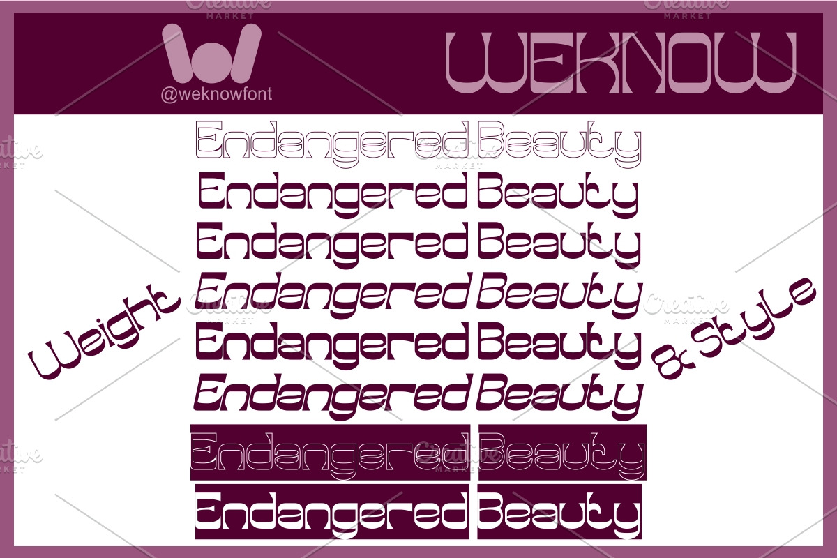 Endangered Beauty font, a Sans Serif Font by weknow (Photo 7 of 8)