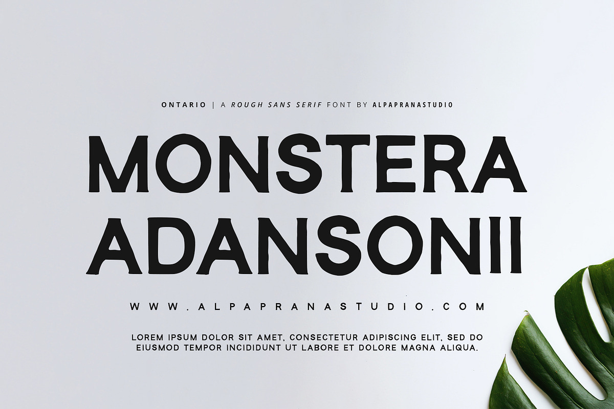 Ontario - Rough Sans Font, a Sans Serif Font by Alpaprana (Photo 3 of 10)