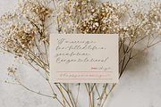 Wedding Couple, a Script Font by Colllab Studio (Thumbnail 2 of 19)